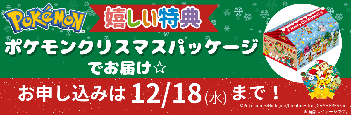 ポケモンクリスマスパッケージ