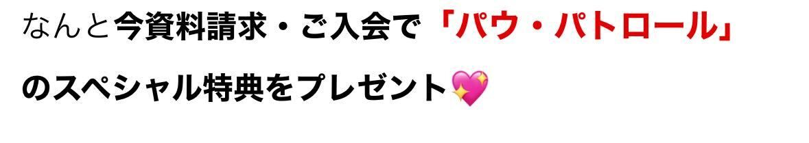 ポケモンクリスマスパッケージ