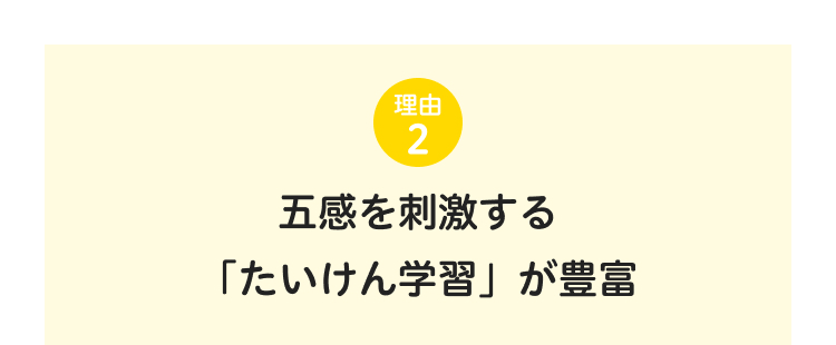 理由
2
五感を刺激する
「たいけん学習」が豊富